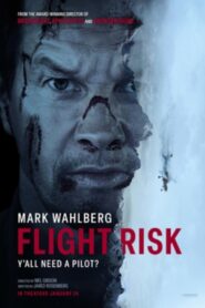 Flight Risk (2025) Dual Audio [Hindi ORG & ENG] WEB-DL 480p, 720p & 1080p |