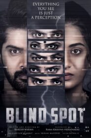 Blind Spot (2025) Dual Audio [Hindi ORG & Telugu] WEB-DL 480p, 720p & 1080p |