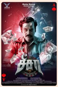 See Saw (2025) Dual Audio [Hindi ORG & Tamil] WEB-DL 480p, 720p & 1080p |