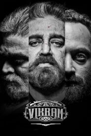 Vikram 2025 Dual Audio [Hindi ORG & Tmail] WEB-DL 480p, 720p & 1080p | Download