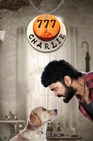 777 Charlie 2022 Dual Audio [Hindi & Kannada] WEB- DL 480p, 720p & 1080p | Download
