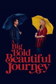 A Big Bold Beautiful Journey 2025 Dual Audio [Hindi ORG & English] WEB- DL 480p, 720p & 1080p | Download