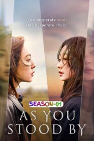 As You Stood By S01 (2025) (Hindi + English) Dual Audio Completed Web Series HEVC ESub