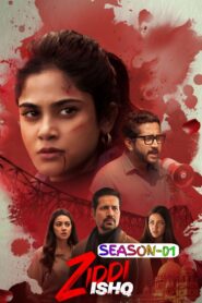 Ziddi Ishq S01 (2025) Hindi Completed Web Series HEVC ESub