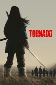 Tornado (2025) Dual Audio [Hindi ORG & ENG] WEB-DL 480p, 720p & 1080p | GDRive