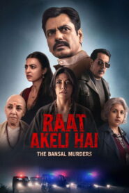 Raat Akeli Hai: The Bansal Murders 2025 Hindi Movie WEB- DL 480p, 720p & 1080p | Download