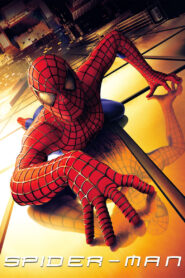 Spider-Man (2002) Dual Audio [Hindi ORG & ENG] WEB-DL 480p, 720p & 1080p | GDRive Download