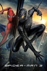 Spider-Man 3 (2007) Dual Audio [Hindi ORG & ENG] WEB-DL 480p, 720p & 1080p | GDRive Download