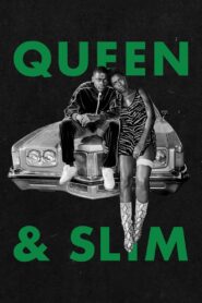 Queen & Slim (2019) Dual Audio [Hindi ORG & ENG] WEB-DL 480p, 720p & 1080p | GDRive Download