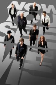 Now You See Me (2013) Dual Audio [Hindi ORG & ENG] WEB-DL 480p, 720p & 1080p | GDRive Download