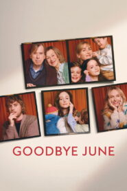 Goodbye June (2025) Dual Audio [Hindi ORG & ENG] WEB-DL 480p, 720p & 1080p | Download