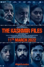 The Kashmir Files (2022) Hindi WEB-DL 200MB – 480p, 720p & 1080p |