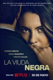 A Widow’s Game (2025) Dual Audio [Hindi ORG & ENG] WEB-DL 480p, 720p & 1080p |