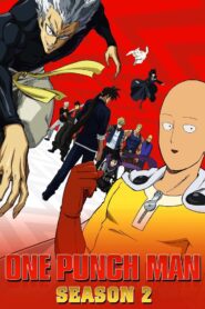 One Punch Man : [Hindi/Urdu ORG, ENG & Japanese] Season 1-2 Dual/Multi Audio WEB-DL 720p HEVC | [Complete]